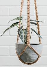 Load image into Gallery viewer, Macrame Hanging Planter
