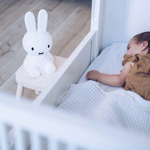 Load image into Gallery viewer, Miffy | First Light
