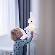 Load image into Gallery viewer, Miffy | First Light
