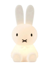 Load image into Gallery viewer, Miffy | First Light
