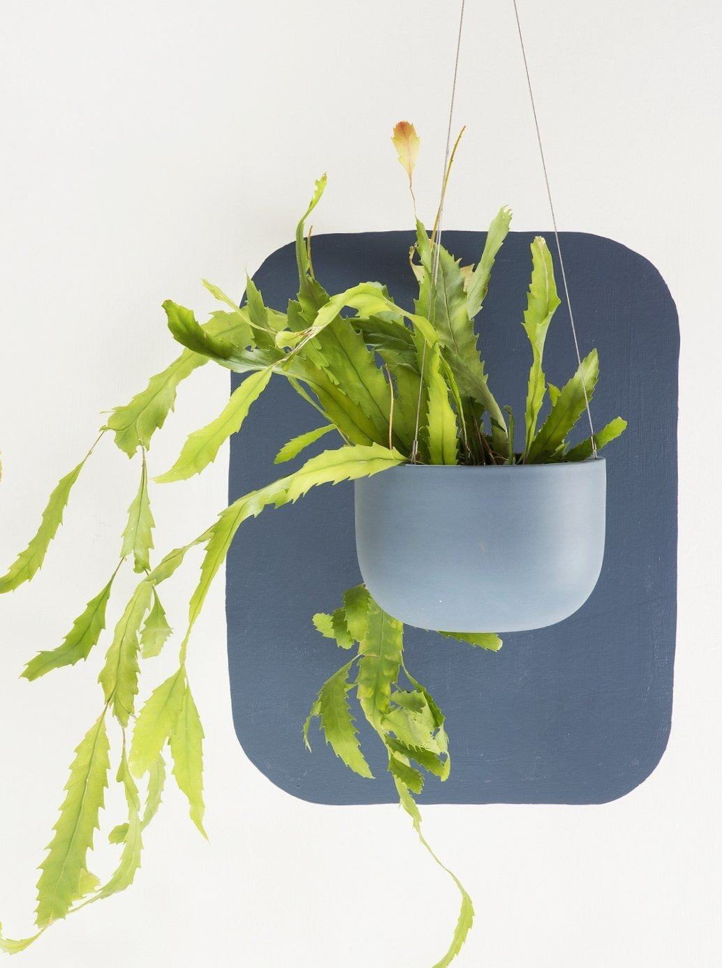 Raw Earth Slate Blue Hanging Planter