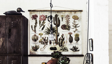 Load image into Gallery viewer, Cacti &amp; Succulents Wall Chart
