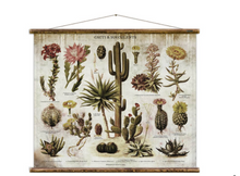 Load image into Gallery viewer, Cacti &amp; Succulents Wall Chart
