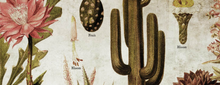Load image into Gallery viewer, Cacti &amp; Succulents Wall Chart

