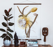 Load image into Gallery viewer, Trew Cereus Wall chart
