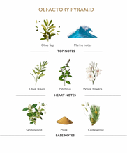 Load image into Gallery viewer, Panier des Sens L&#39;Olivier Natural Deodorant
