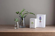 Load image into Gallery viewer, Aqua Culture Vase | Small
