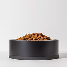 Load image into Gallery viewer, Dog Bowl Wild One
