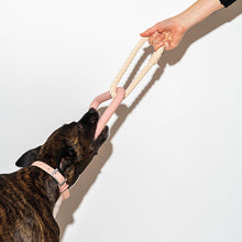 Load image into Gallery viewer, Dog Toy Triangle Tug Wild One
