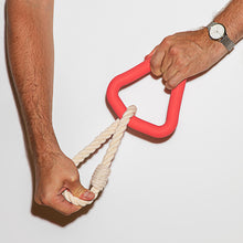 Load image into Gallery viewer, Dog Toy Triangle Tug Wild One
