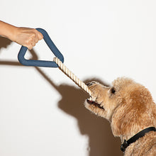 Load image into Gallery viewer, Dog Toy Triangle Tug Wild One
