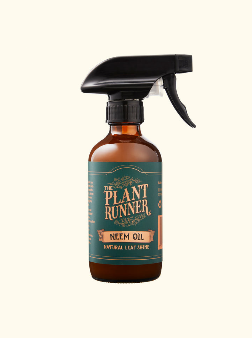 Neem Oil Leaf Shine