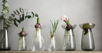 Aqua Culture Vase | Large