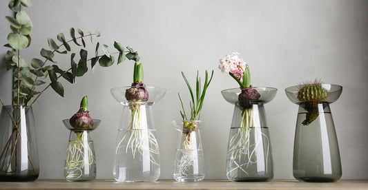 Aqua Culture Vase | Large
