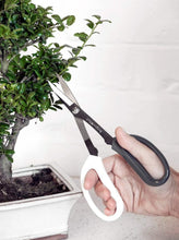 Load image into Gallery viewer, Japanese Pruning Scissors
