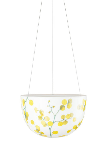 Wattle Blossom Hanging Planter