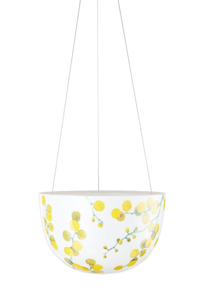 Wattle Blossom Hanging Planter