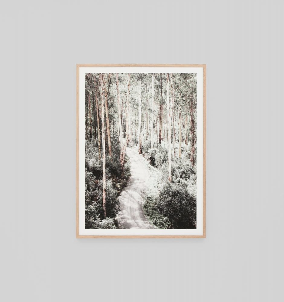 Eucalyptus Trail