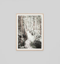 Load image into Gallery viewer, Eucalyptus Trail
