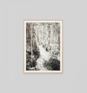 Eucalyptus Trail