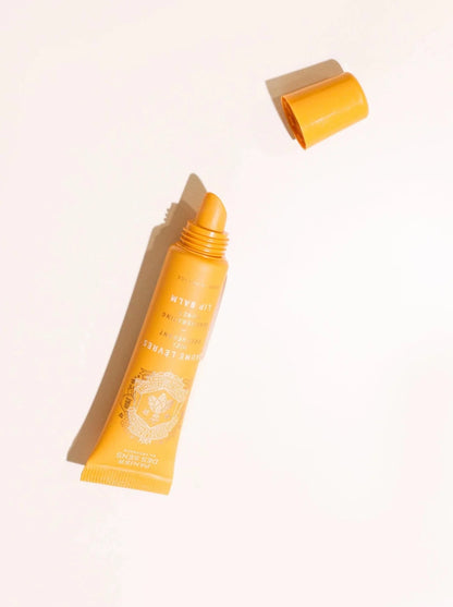 Honey Collection | Lip Balm