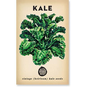 Kale "Dwarf Blue" HEIRLOOM SEEDS