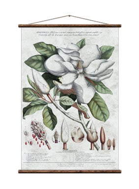 Magnolia Wall chart