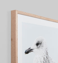 Load image into Gallery viewer, Ocean Gull Framed Photographic Print
