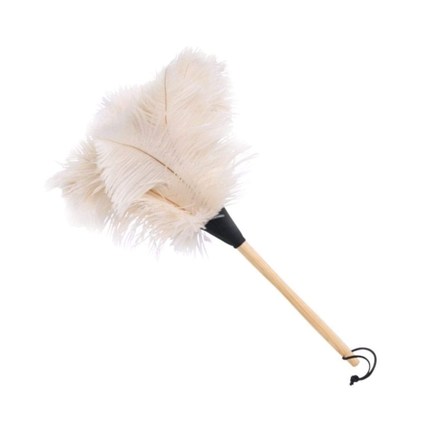 Feather Duster